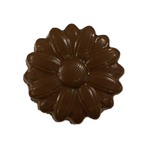 daisymedal