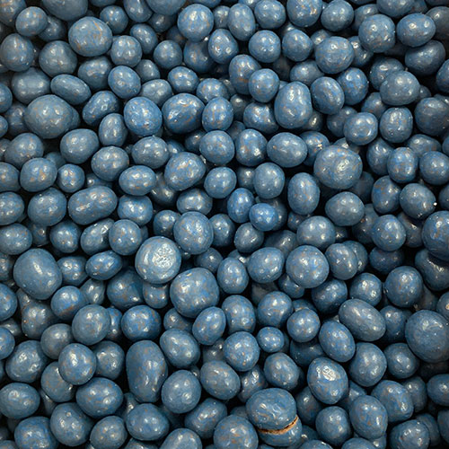 Chocolate Covered Blueberries