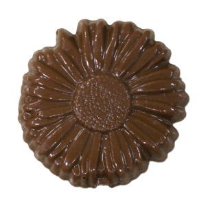 daisyflowerlollipop