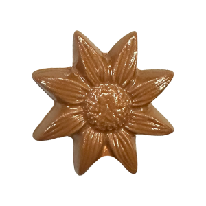 Star Daisy Lollipop