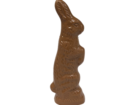 Stretch The Bunny 3D